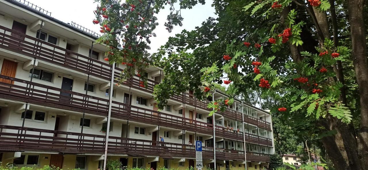 Retrospekcja - Apartament W Centrum 자코파네 외부 사진